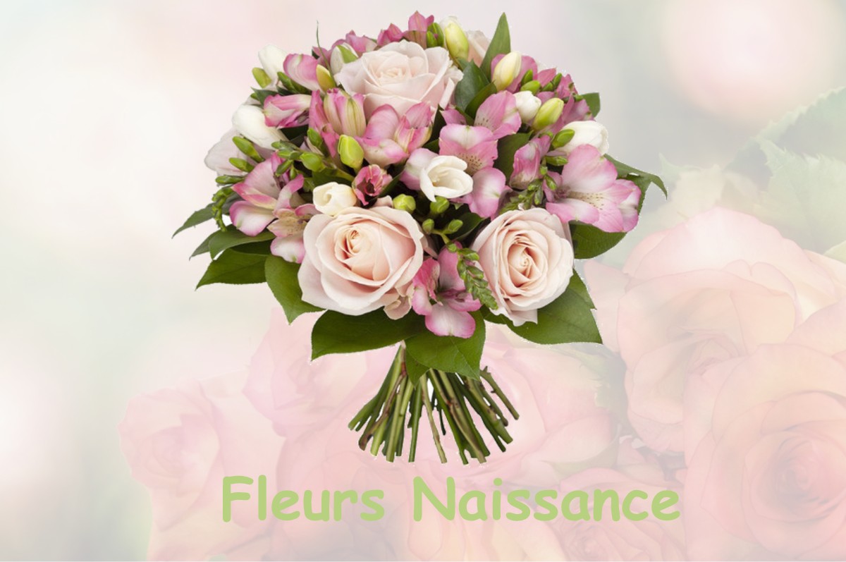 fleurs naissance GIVRAINES